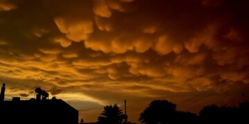 "Boost Your Trivia Game: Essential Fun Facts to Know