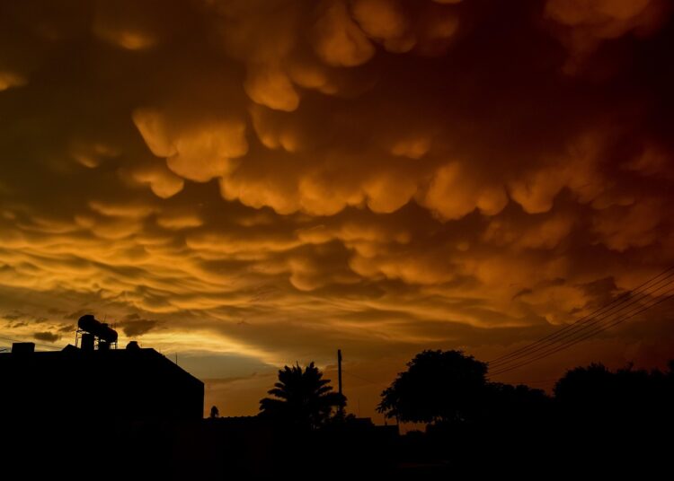 "Boost Your Trivia Game: Essential Fun Facts to Know