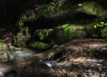 Discover Mind-Blowing Facts About the Ocean You Never Knew Existed