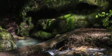 Discover Mind-Blowing Facts About the Ocean You Never Knew Existed