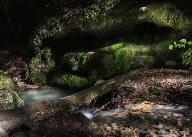 Discover Mind-Blowing Facts About the Ocean You Never Knew Existed