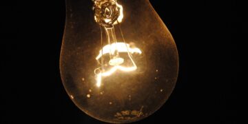 Discover Intriguing Facts About the World's Rarest Animals