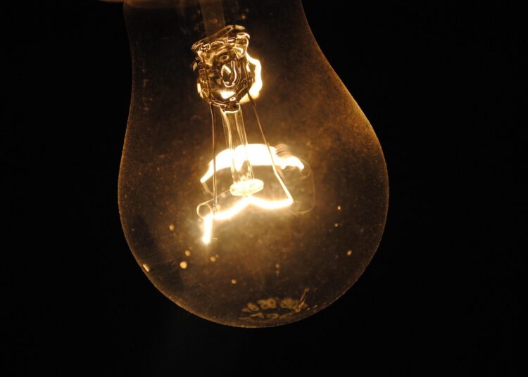 Discover Intriguing Facts About the World's Rarest Animals