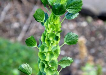 Strange Facts Unearthed: Bizarre Truths and Oddities You Need to Know