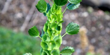 Strange Facts Unearthed: Bizarre Truths and Oddities You Need to Know