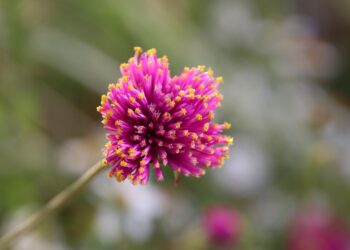 Unlocking the Future: Surprising Discoveries in Modern Technology