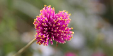 Unlocking the Future: Surprising Discoveries in Modern Technology