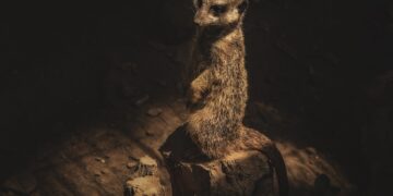 Embrace the Intriguing Living: Unveil the Secrets to an Enriched Life