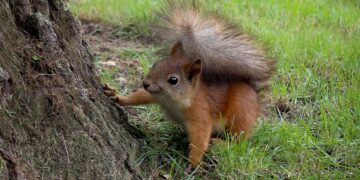 Beyond the Textbooks: How Curiosity Leads to Real Learning