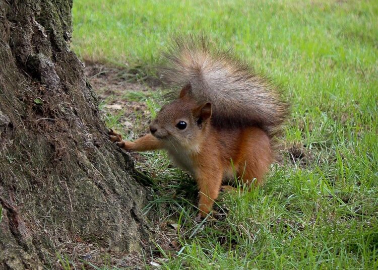 Beyond the Textbooks: How Curiosity Leads to Real Learning