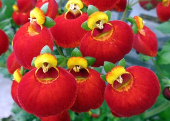 Discover Little-Known Facts About Historical Landmarks