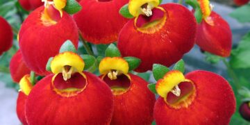 Discover Little-Known Facts About Historical Landmarks