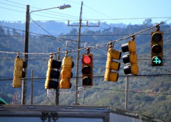 Exploring the Odd and Unusual: Weird Facts You Won't Believe Are True