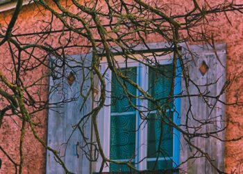 From Fiction to Fact: Surprising Truths Behind Popular Myths