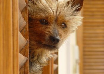 Unlock the Secrets of Curiosity Learning: Transform Your Study Habits Today