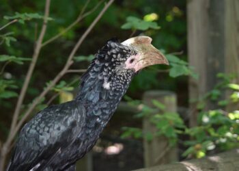 Exploring Space: Little-Known Facts That Might Surprise You