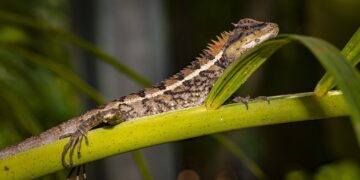 Unveiling the Future with Amazing Findings: What's Next in Technology?