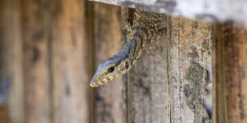 Exploring the Impact of Groundbreaking Discoveries: A New Era in Science