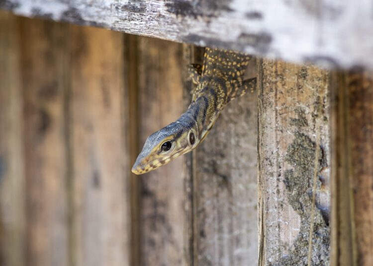 Exploring the Impact of Groundbreaking Discoveries: A New Era in Science