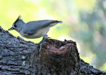 Why Aren't More People Talking About Sustainable Living?