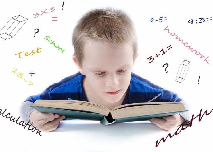 The Role of Curiosity Driven Education in Cultivating Lifelong Learners