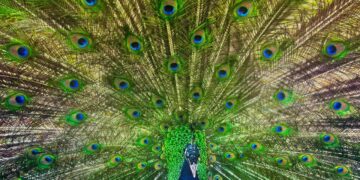 Unlocking the Past: Top Notable Discoveries That Changed Our Understanding of History