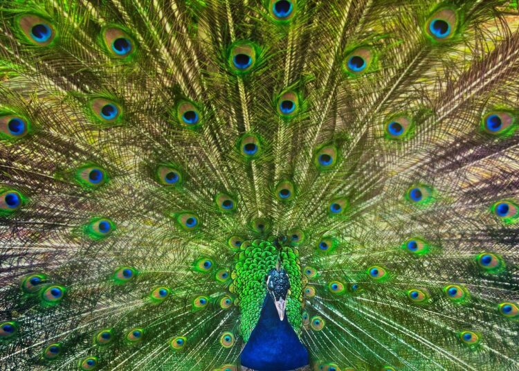 Unlocking the Past: Top Notable Discoveries That Changed Our Understanding of History