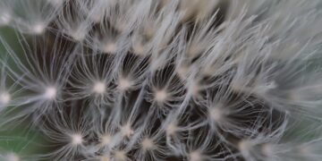 Discover the Bizarre: Odd Facts You Never Knew Existed