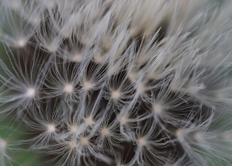 Discover the Bizarre: Odd Facts You Never Knew Existed