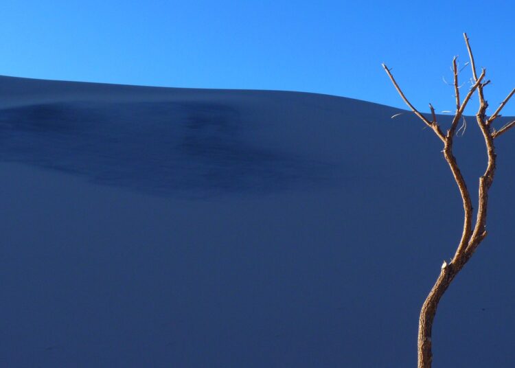 Unlocking the Past: How Revolutionary Findings Are Changing History