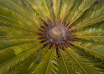 Unveil the Mind-Blowing Facts Behind Everyday Technologies