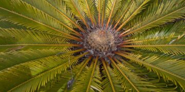 Unveil the Mind-Blowing Facts Behind Everyday Technologies