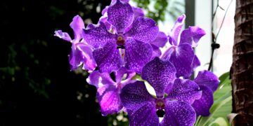 Exploring the Latest in Technology: Innovative Discoveries That Are Shaping the Future