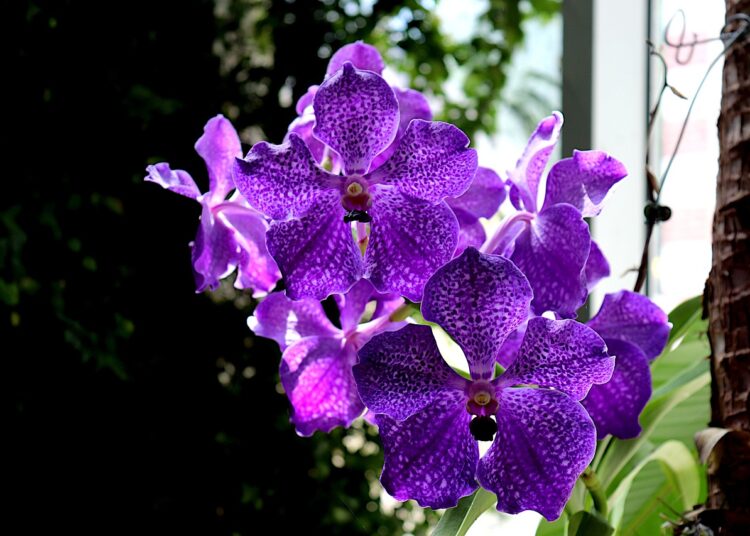 Exploring the Latest in Technology: Innovative Discoveries That Are Shaping the Future