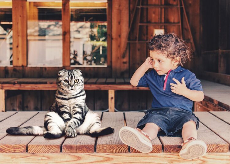 Bizarre Stories from Around the Globe: Weird Facts That Will Amaze You