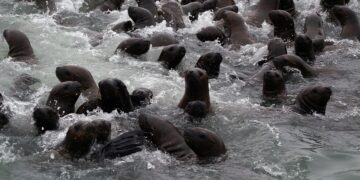 Learning Revolution: How to Harness Your Curiosity for Academic Success