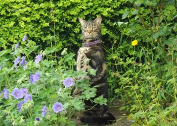 Exploring the Future: What Curiosity Driven Education Means for Your Child