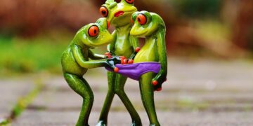 Curiosity Learning Activities: A Tool for Innovation in Education and Beyond