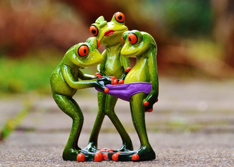 Curiosity Learning Activities: A Tool for Innovation in Education and Beyond