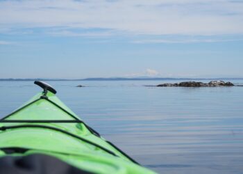 Unveiling the Future: How Innovative Discoveries Are Transforming Industries