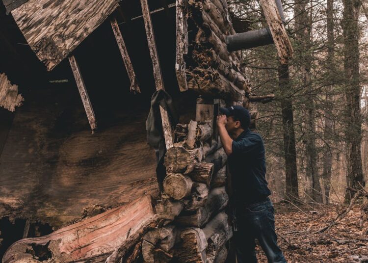 7 Surprising Living Spaces Transformed from the Unthinkable