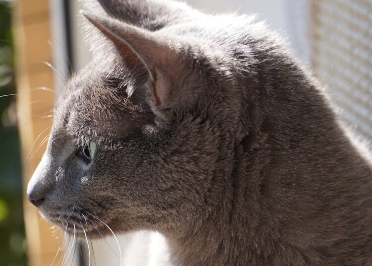 10 Extraordinary Discoveries That Redefined History