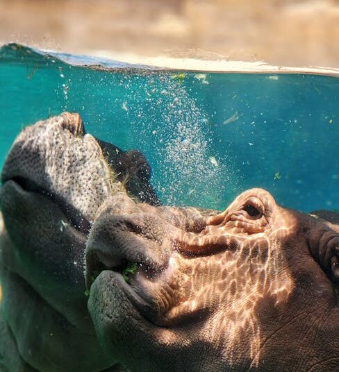 10 Must-Ask Debate Questions for Every Political Enthusiast