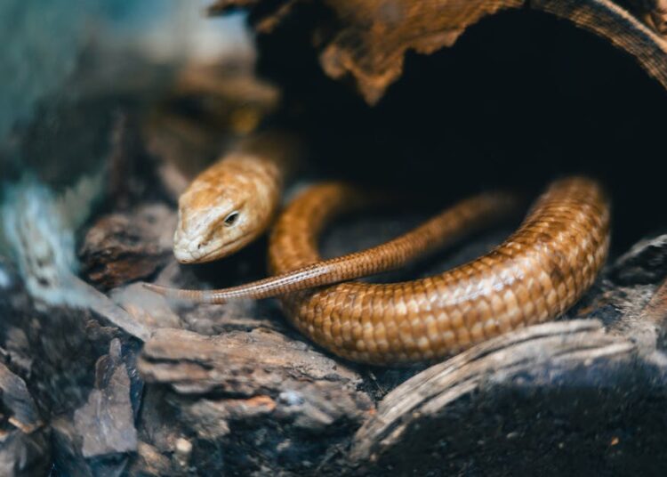 10 Unique Discoveries in the World's Most Remote Locations