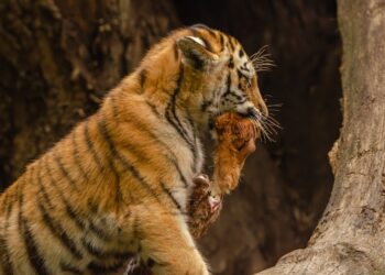 10 Astounding Discoveries That Changed Science Forever