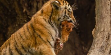 10 Astounding Discoveries That Changed Science Forever