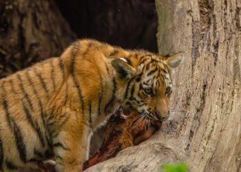 10 Unexpected Discoveries in Your Everyday Walks