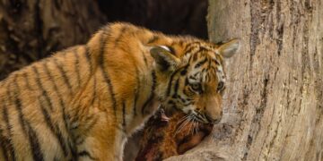 10 Unexpected Discoveries in Your Everyday Walks