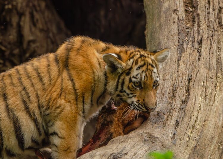 10 Unexpected Discoveries in Your Everyday Walks