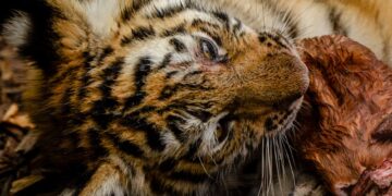 10 Amazing Findings in Modern Science That Will Blow Your Mind